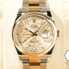 ロレックス デイトジャスト36 Ref.126203 ステンレススチール/イエローゴールド ゴールデンパームモチーフ文字盤 オイスターブレスレット 商品画像1