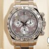 ロレックス デイトナ Ref.116509NG ホワイトゴールド ブラックシェルx8Pダイヤ文字盤 美中古 3ht5niin 商品画像1